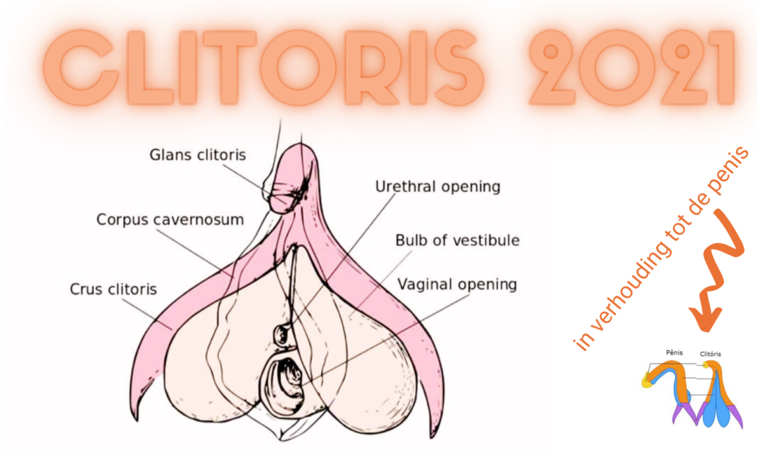 Ken je clitoris (Geen knopje, maar klaarkom-orgaan)